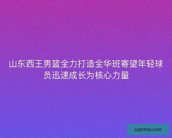 山东西王男篮全力打造全华班寄望年轻球员迅速成长为核心力量
