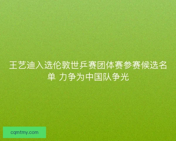 王艺迪入选伦敦世乒赛团体赛参赛候选名单 力争为中国队争光
