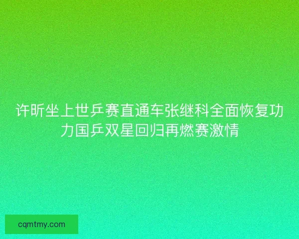 许昕坐上世乒赛直通车张继科全面恢复功力国乒双星回归再燃赛激情