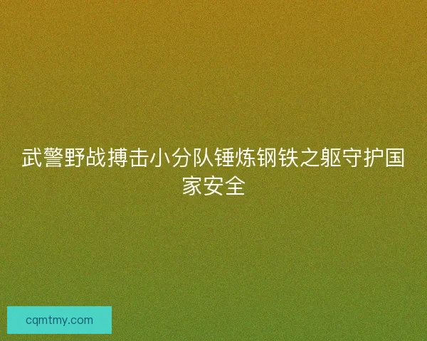 武警野战搏击小分队锤炼钢铁之躯守护国家安全